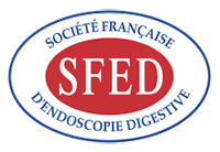 logo SFED